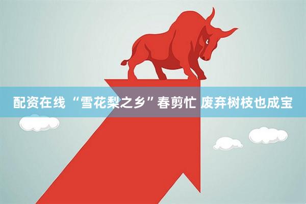 配资在线 “雪花梨之乡”春剪忙 废弃树枝也成宝
