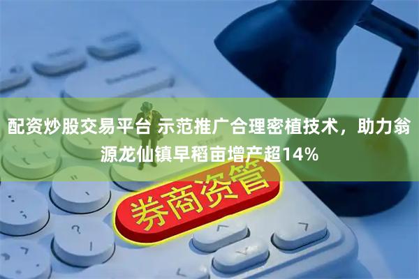 配资炒股交易平台 示范推广合理密植技术，助力翁源龙仙镇早稻亩增产超14%